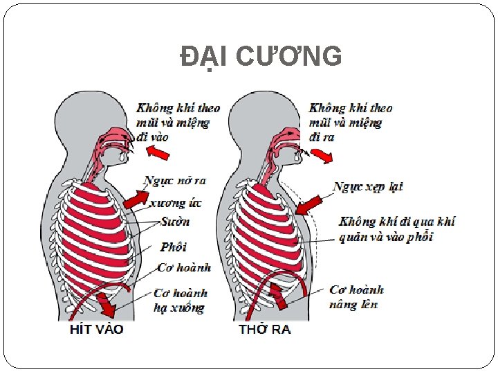 ĐA I CƯƠNG 