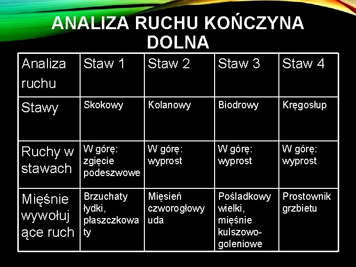 ANALIZA RUCHU KOŃCZYNA DOLNA Analiza ruchu Staw 1 Staw 2 Staw 3 Staw 4