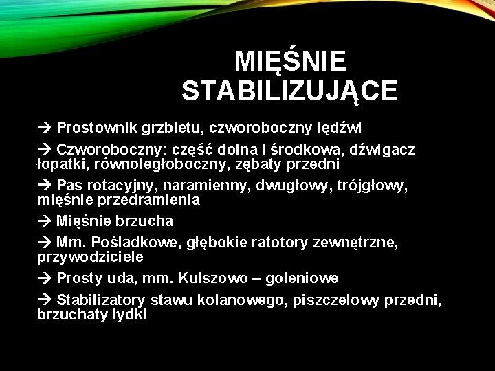 MIĘŚNIE STABILIZUJĄCE Prostownik grzbietu, czworoboczny lędźwi Czworoboczny: część dolna i środkowa, dźwigacz łopatki, równoległoboczny,