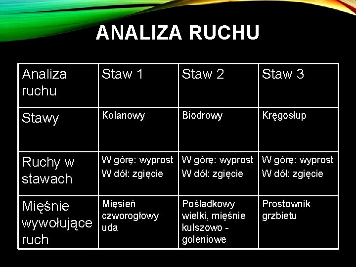 ANALIZA RUCHU Analiza ruchu Staw 1 Staw 2 Staw 3 Stawy Kolanowy Biodrowy Kręgosłup