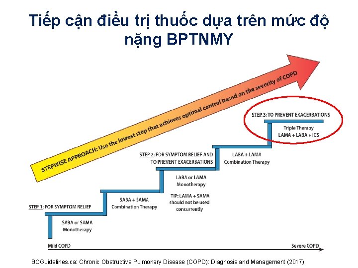 Tiếp cận điều trị thuốc dựa trên mức độ nặng BPTNMY BCGuidelines. ca: Chronic