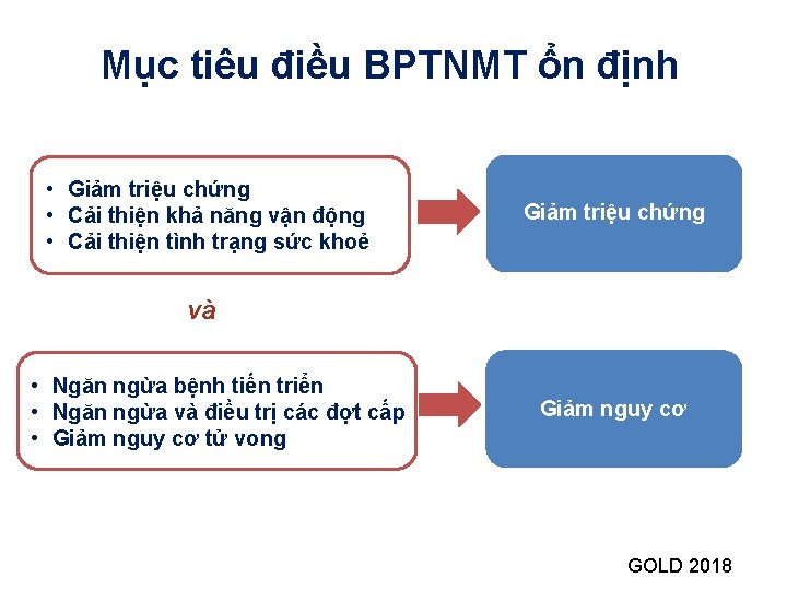 Mục tiêu điều BPTNMT ổn định • Giảm triệu chứng • Cải thiện khả