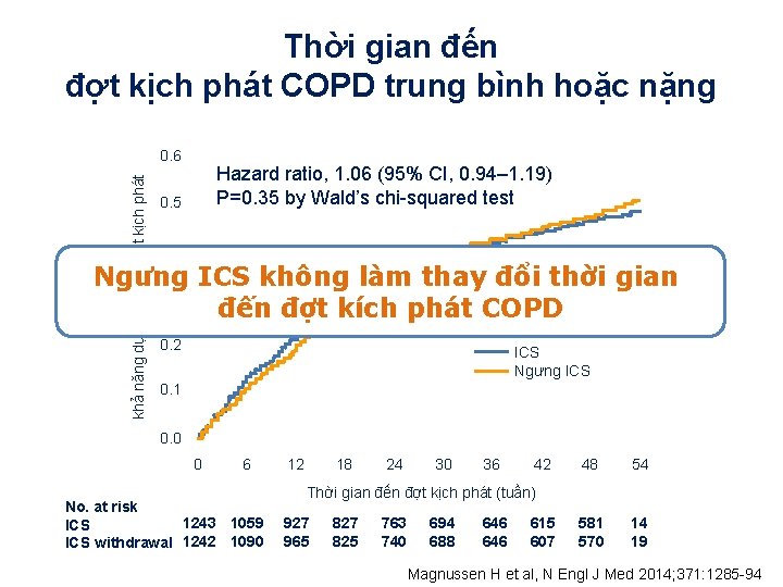 Thời gian đến đợt kịch phát COPD trung bình hoặc nặng khả năng dự