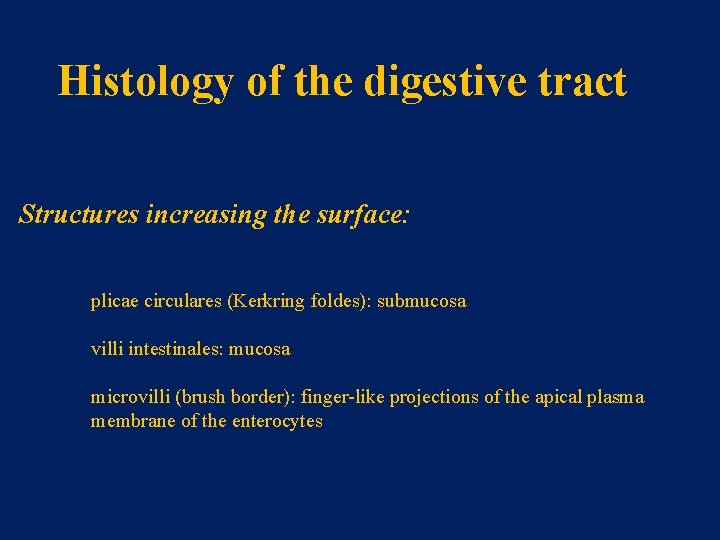 Histology of the digestive tract Structures increasing the surface: plicae circulares (Kerkring foldes): submucosa