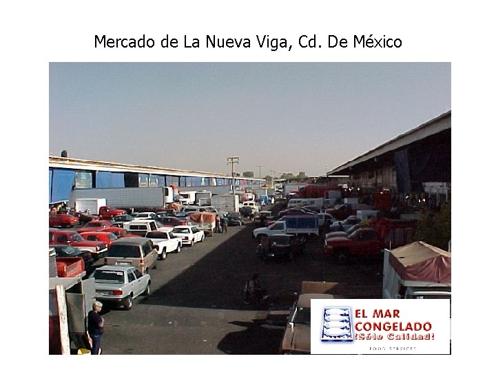 Mercado de La Nueva Viga, Cd. De México 