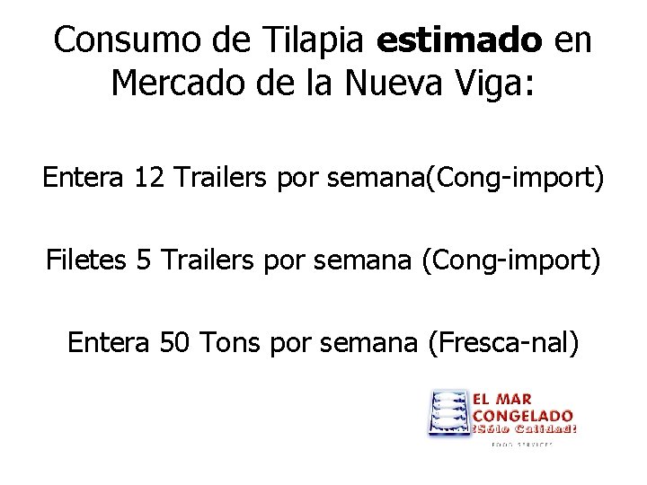 Consumo de Tilapia estimado en Mercado de la Nueva Viga: Entera 12 Trailers por