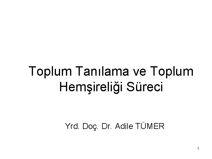 Toplum Tanılama ve Toplum Hemşireliği Süreci Yrd. Doç. Dr. Adile TÜMER 1 