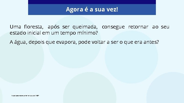 Agora é a sua vez! Uma floresta, após ser queimada, consegue retornar ao seu