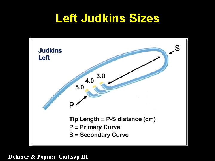 Left Judkins Sizes Dehmer & Popma: Cathsap III 