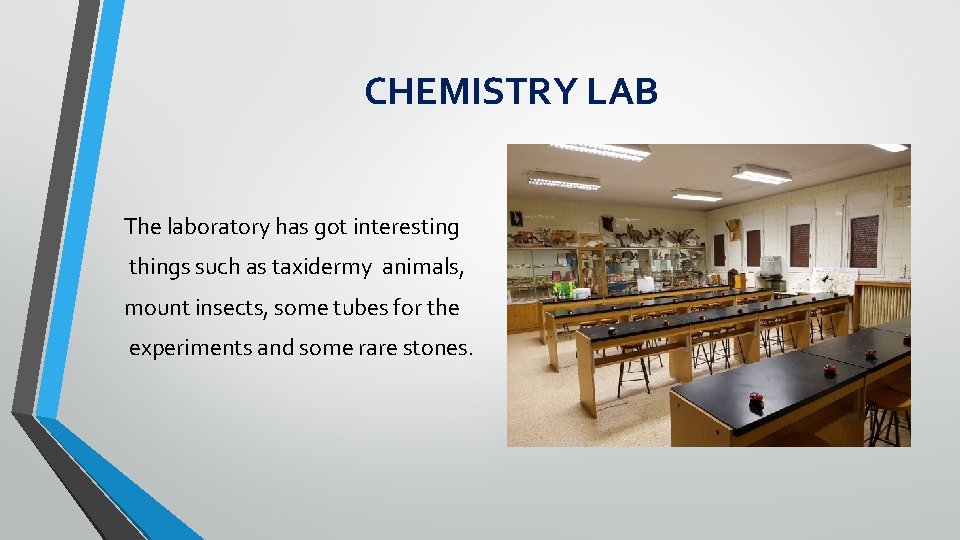 CHEMISTRY LAB The laboratory has got interesting things such as taxidermy animals, mount insects,