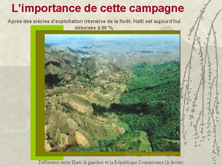 L’importance de cette campagne Après des siècles d’exploitation intensive de la forêt, Haïti est