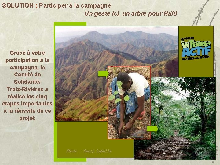 SOLUTION : Participer à la campagne Un geste ici, un arbre pour Haïti Grâce