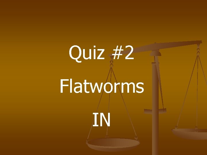 Quiz #2 Flatworms IN 
