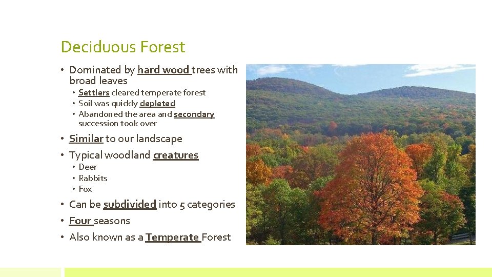 Deciduous Forest • Dominated by hard wood trees with broad leaves • Settlers cleared