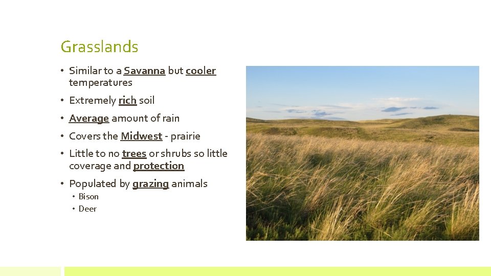 Grasslands • Similar to a Savanna but cooler temperatures • Extremely rich soil •