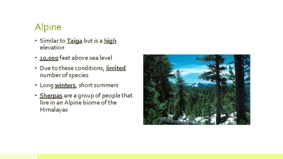 Alpine • Similar to Taiga but is a high elevation • 10, 000 feet
