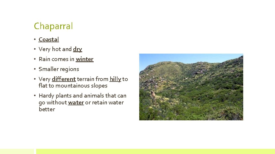 Chaparral • Coastal • Very hot and dry • Rain comes in winter •
