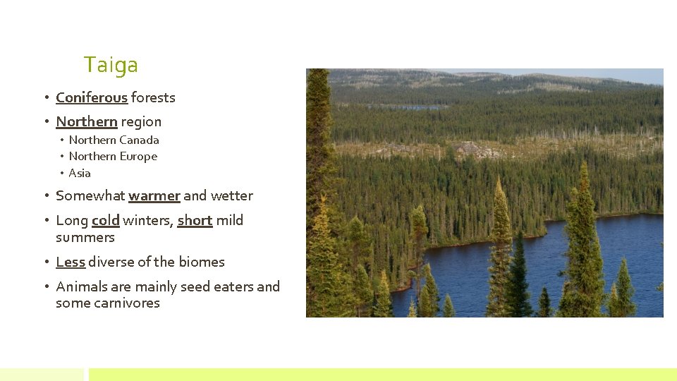Taiga • Coniferous forests • Northern region • Northern Canada • Northern Europe •