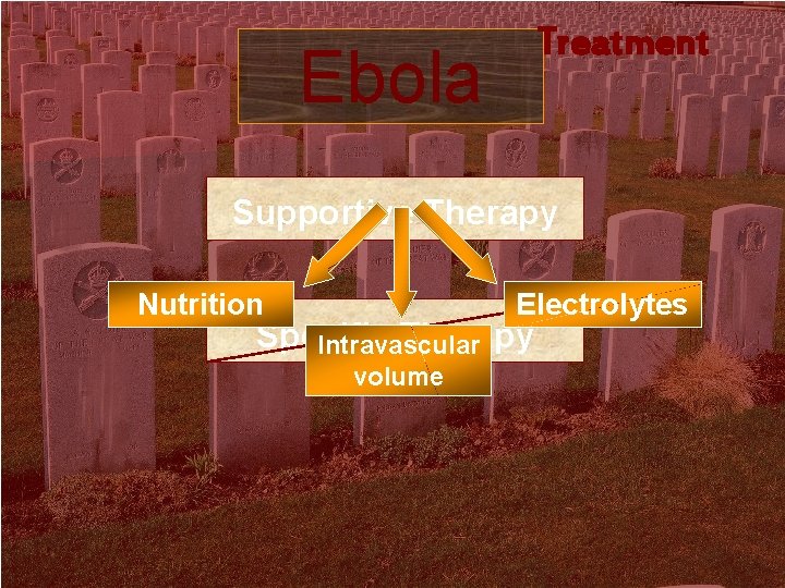 Treatment Ebola Supportive Therapy Nutrition Electrolytes Specific Therapy Intravascular volume 