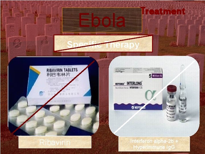 Treatment Ebola Specific Therapy Ribavirin Interferon alpha-2 b + Hyperimmune Ig. G 