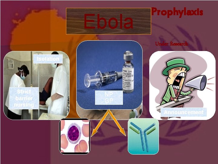 Ebola Prophylaxis Under Research Isolation Strict barrier nursing Safety Bury NP GP Announcement 