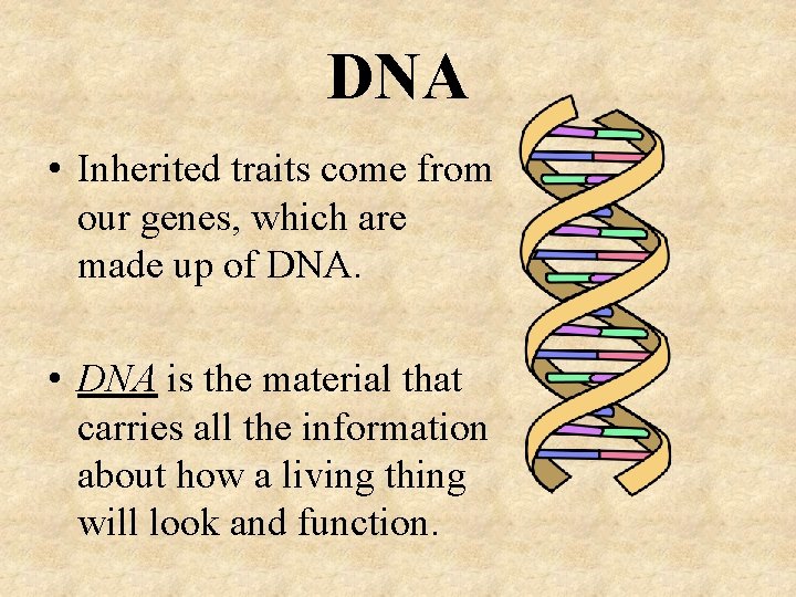 DNA • Inherited traits come from our genes, which are made up of DNA.