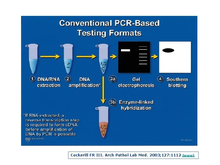 Cockerill FR III. Arch Pathol Lab Med. 2003; 127: 1112 (www) 