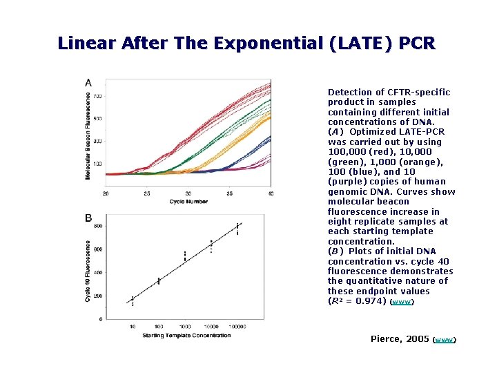Linear After The Exponential (LATE) PCR Detection of CFTR specific product in samples containing