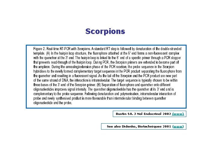 Scorpions Bustin SA. J Mol Endocrinol 2002 (www) See also Didenko, Biotechniques 2001 (www)