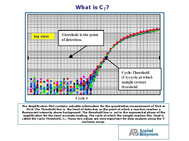 What is CT? log view The Amplification Plot contains valuable information for the quantitative