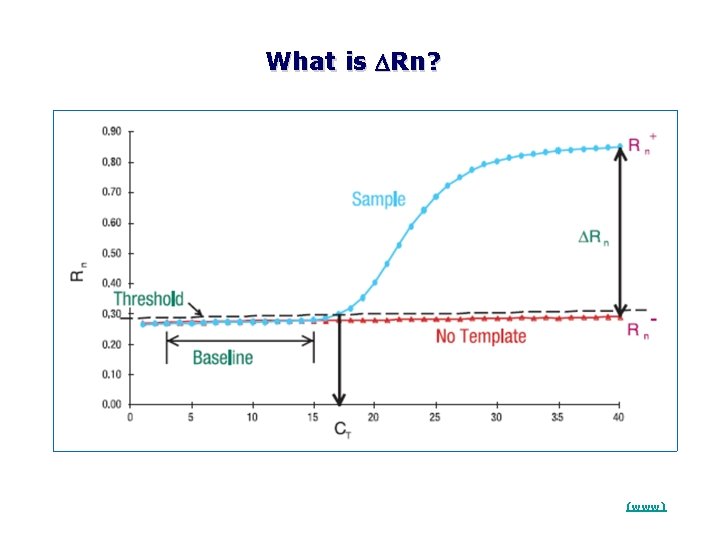 What is DRn? (www) 