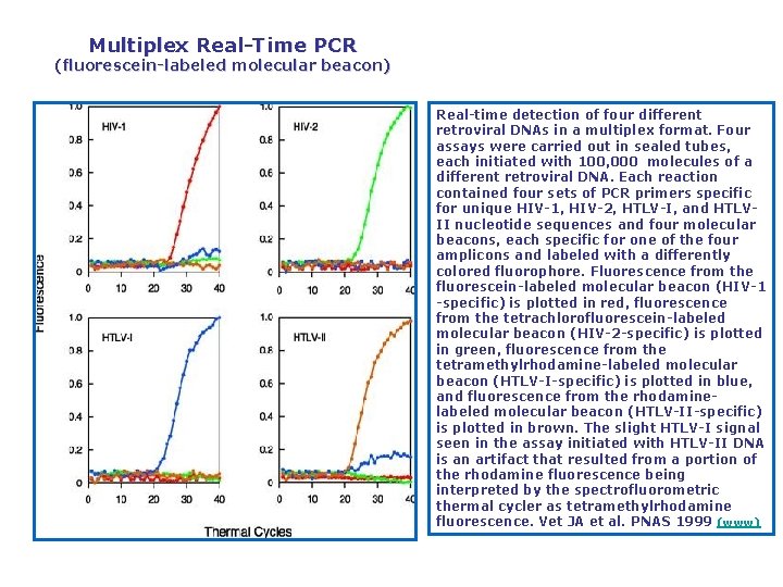 Multiplex Real Time PCR (fluorescein labeled molecular beacon) Real time detection of four different