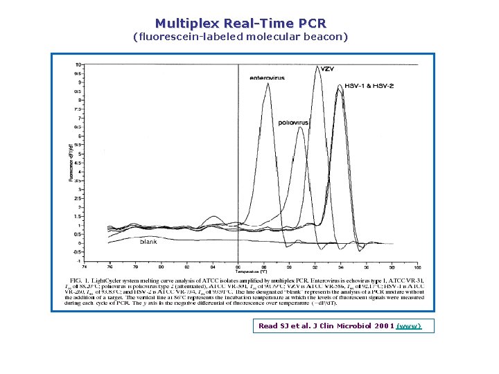 Multiplex Real Time PCR (fluorescein labeled molecular beacon) Read SJ et al. J Clin