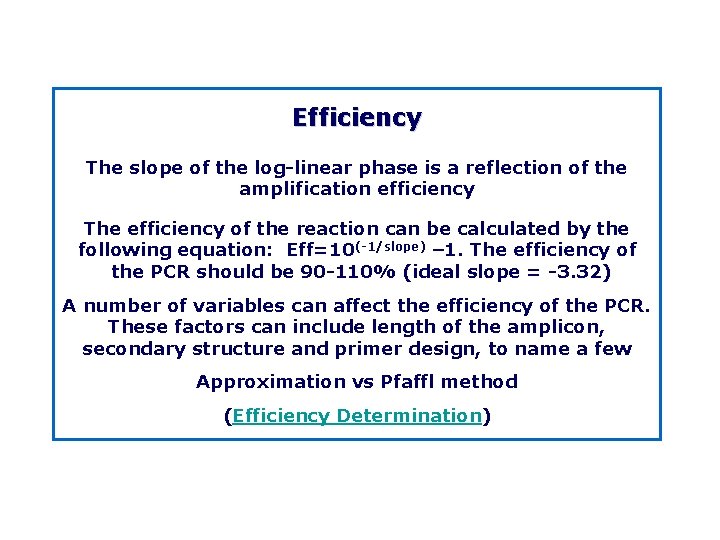 Efficiency The slope of the log linear phase is a reflection of the amplification