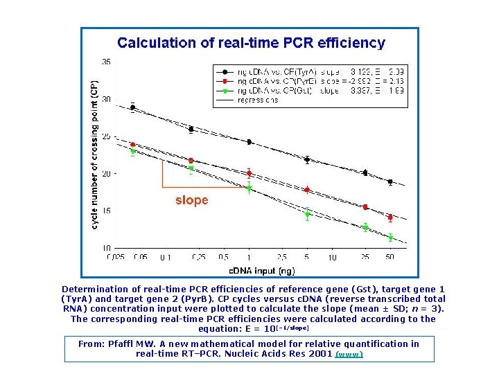 Determination of real time PCR efficiencies of reference gene (Gst), target gene 1 (Tyr.