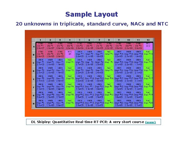 Sample Layout 20 unknowns in triplicate, standard curve, NACs and NTC DL Shipley: Quantitative