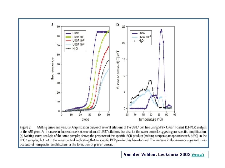 Van der Velden. Leukemia 2003 (www) 