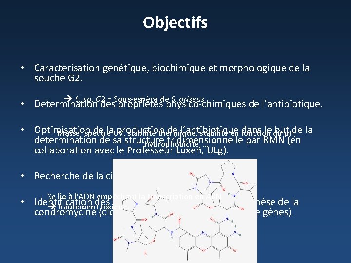 Objectifs • Caractérisation génétique, biochimique et morphologique de la souche G 2. S. sp.