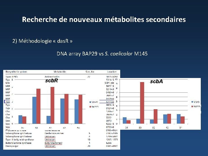 Recherche de nouveaux métabolites secondaires 2) Méthodologie « das. R » DNA array BAP