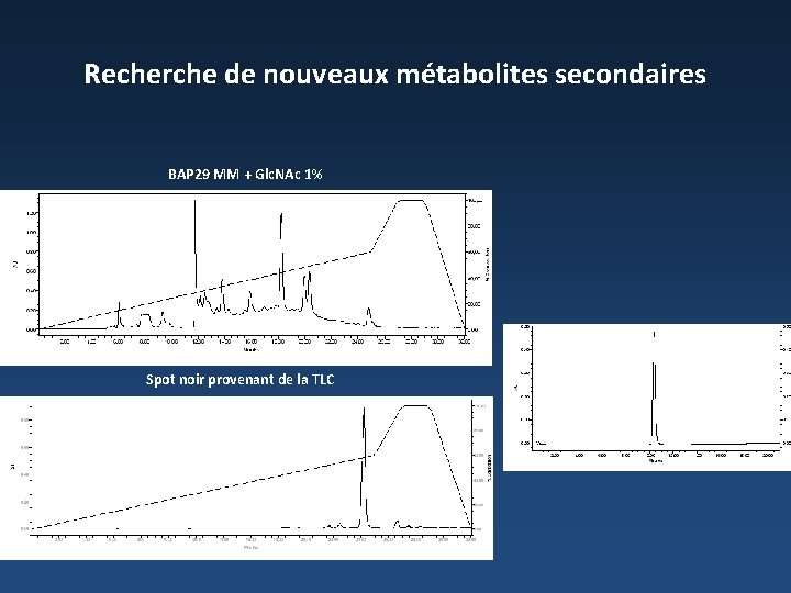 Recherche de nouveaux métabolites secondaires BAP 29 MM + Glc. NAc 1% Spot noir