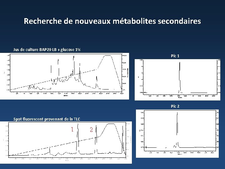 Recherche de nouveaux métabolites secondaires Jus de culture BAP 29 LB + glucose 1%