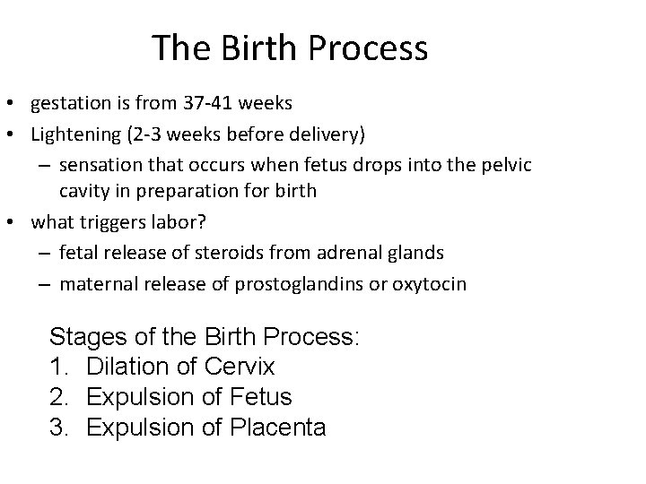 The Birth Process • gestation is from 37 -41 weeks • Lightening (2 -3