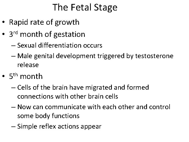 The Fetal Stage • Rapid rate of growth • 3 rd month of gestation