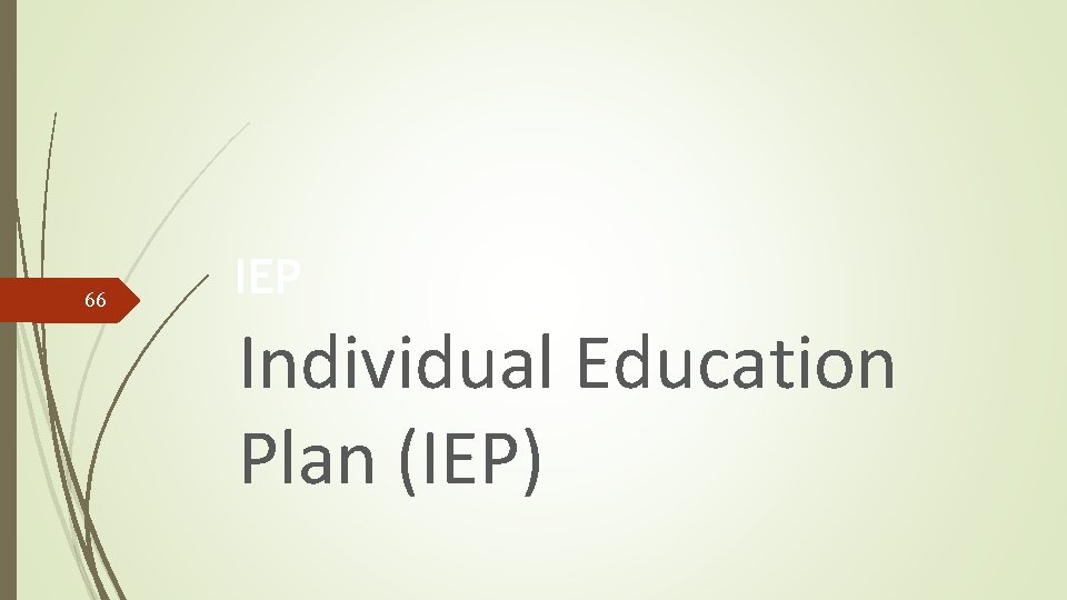 66 IEP Individual Education Plan (IEP) 