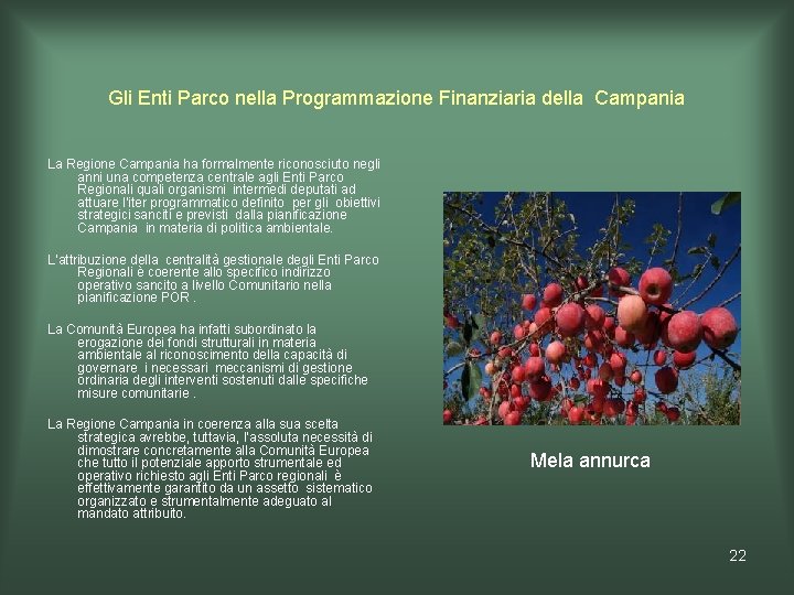 Gli Enti Parco nella Programmazione Finanziaria della Campania La Regione Campania ha formalmente riconosciuto Gli Enti Parco nella Programmazione Finanziaria della Campania La Regione Campania ha formalmente riconosciuto