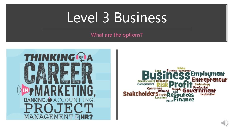 Level 3 Business What are the options? 