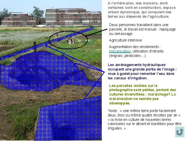 A l’arrière-plan, des maisons, dont certaines sont en construction, espace urbain dynamique, qui conquiert