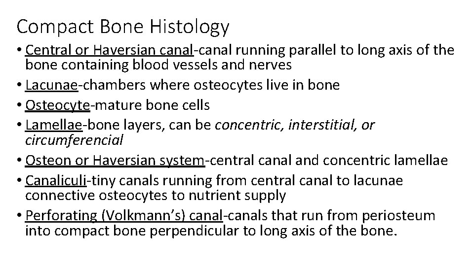 Bone Tissue and The Axial Skeleton Lab 5