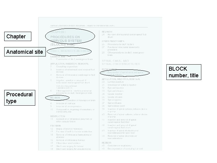 Chapter Anatomical site BLOCK number, title Procedural type 