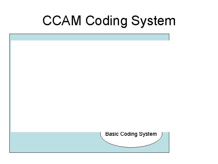 CCAM Coding System Basic Coding System 